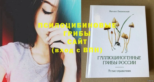 стафф Краснотурьинск
