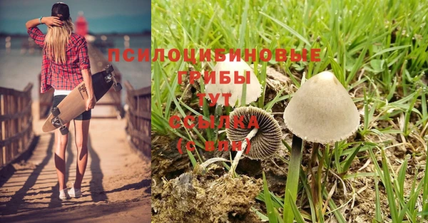 соль ск Киреевск
