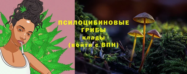 экстази Краснослободск