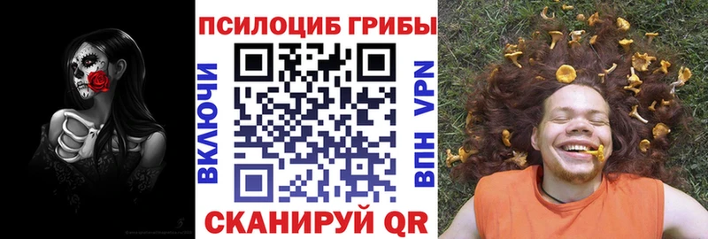 Купить закладки  Долинск  Галлюциногенные грибы прущие грибы 