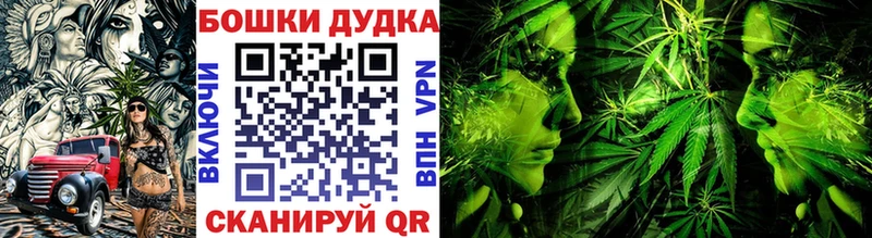 Купить  Долинск  Шишки марихуана SATIVA & INDICA 